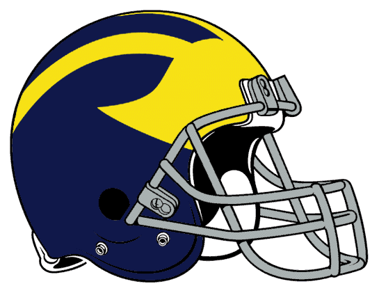 Delaware Blue Hens 1969-1976 Helmet Logo diy DTF decal sticker